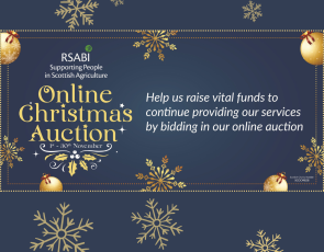 RSABI Launches Debut Christmas Online Auction