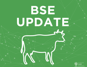 BSE update graphic