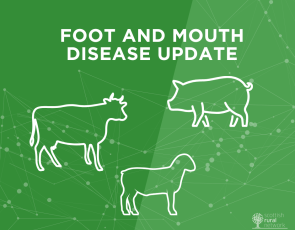 Foot and mouth disease