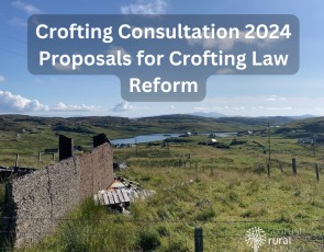 Crofting consultation 2024 - Image of Croft - Isle of Lewis - SRN photo