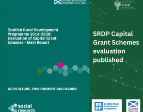 Cover of Capital Grant Schemes evaluation