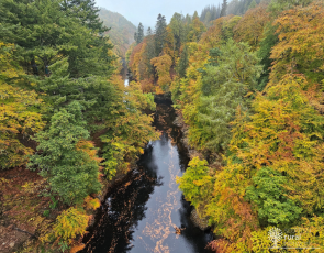 View from Killiecrankie bridge 