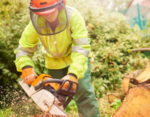 Woman in Forestry - image of Forester 