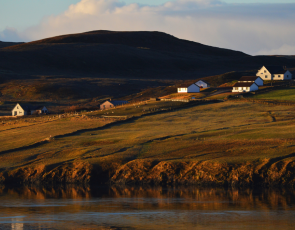 Houses located on coastal Shetland 