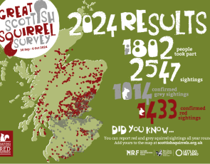 Critical red squirrel conservation aided by public citizen science efforts