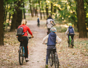 parents and kids cycling on forest trail by Yelizaveta