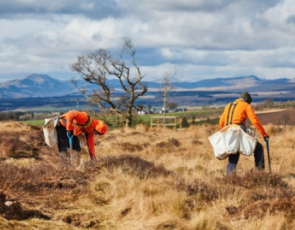 Tree Planting by Edinburgh University