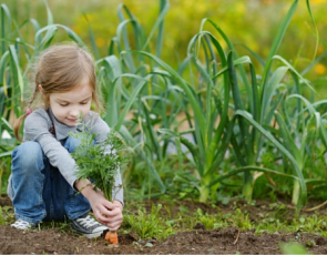 Girl planting vegetables in garden