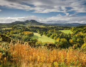 Eildon Hill - Scot Gov image 