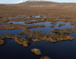 peatland bogs Scottish landscape