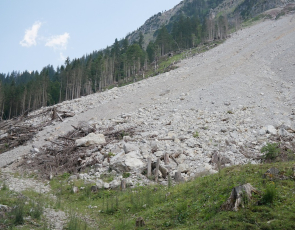 Rubble from landslide on hillside