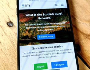 Mobile phone showing SRN website