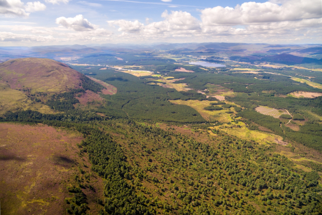 Arial view of tree regeneration in the survey area ©scotlandbigpicture.com