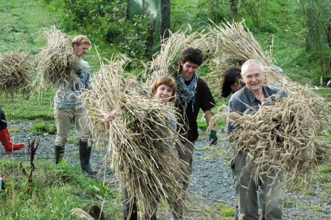 Five people carrying big bundles of rye 