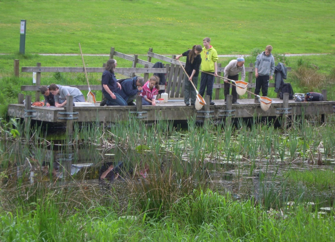 Teenagers with nets pond dipping