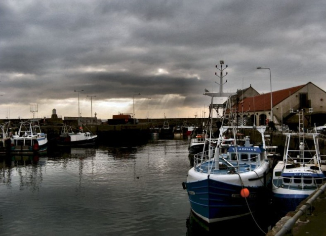 Fishing boats, Pittenweem