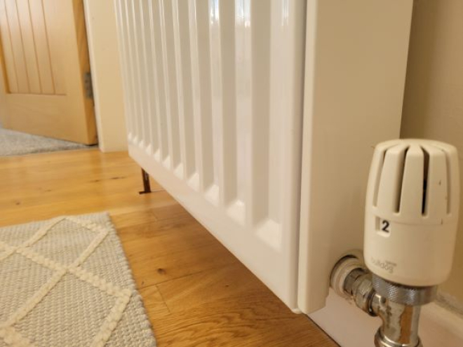 bottom half of a radiator, flooring and rug