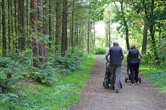 People pushing prams on forest path