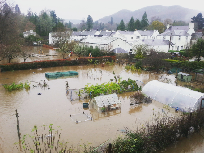 Flooded community allotment