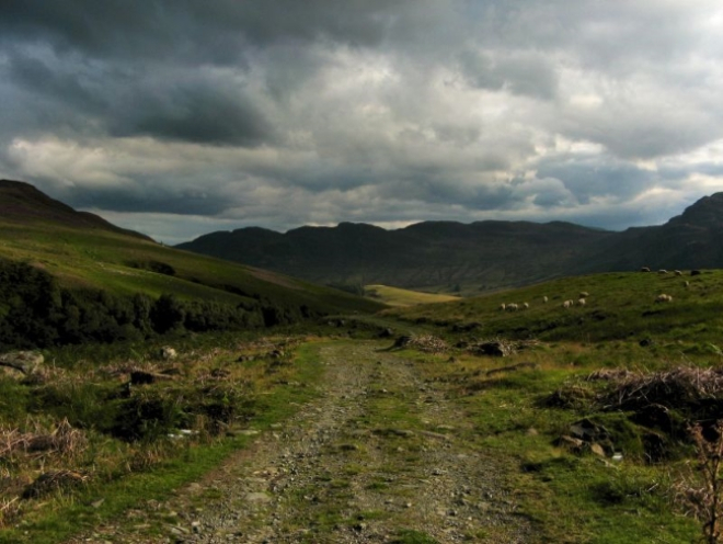 Track leading to Ben Chonzie