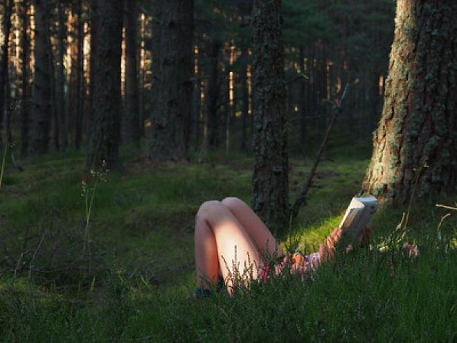 Reading a book under a tree