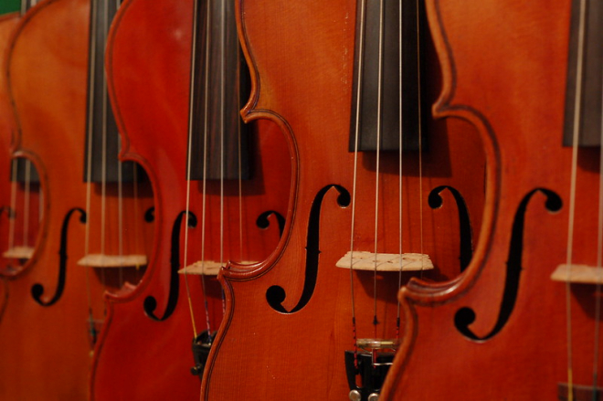 Close up of fiddle bridges