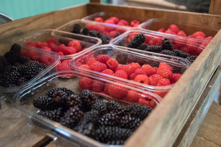 Punnet of berries.