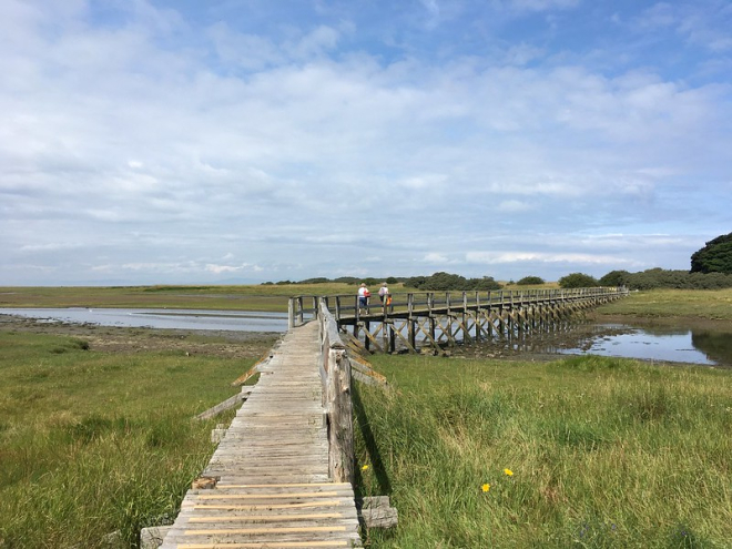 People walking on boardwalk between grass and water