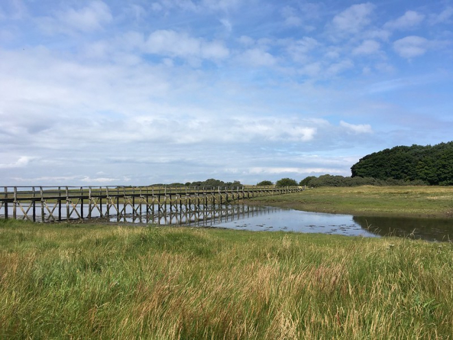 Aberlady Nature reserve