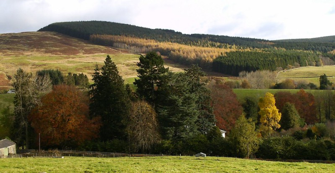 Trees in shades of green, yellow, red and orange