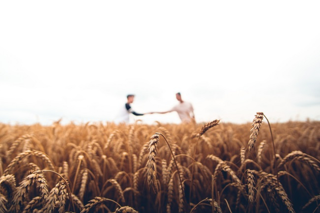 Two people shaking hands in field