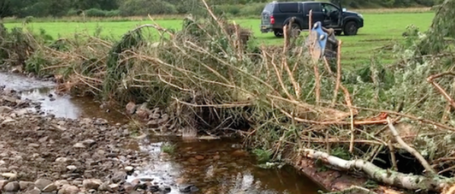 River margins enhancement project