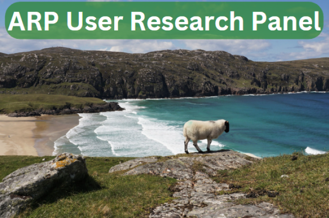 SRN image of lamb - user research panel 