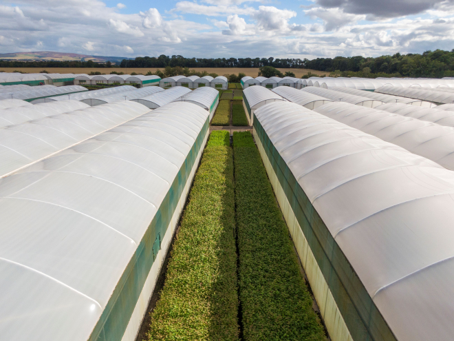 facilities at Alba Trees 