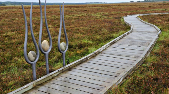 boardwalk at West Lothian nature reserve