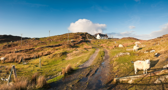 Croft landscape