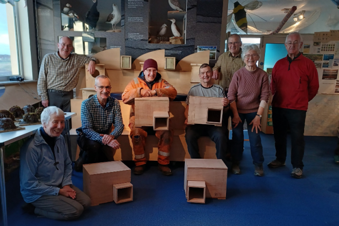 Caithness Environment Volunteers building rabbit escape tunnels to be installed at Farr Glebe Dec 2024 (c) Patti Bremner