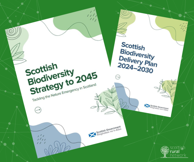 Biodiversity Strategy and a new Biodiversity Delivery Plan