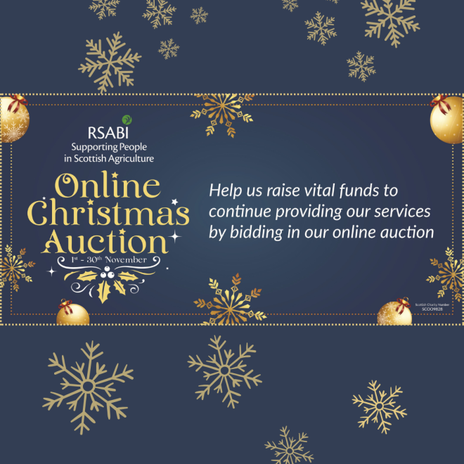 RSABI Launches Debut Christmas Online Auction