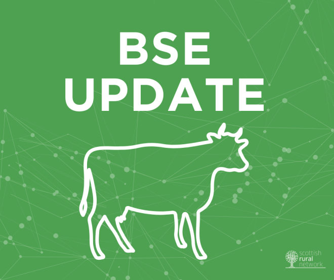 BSE update graphic