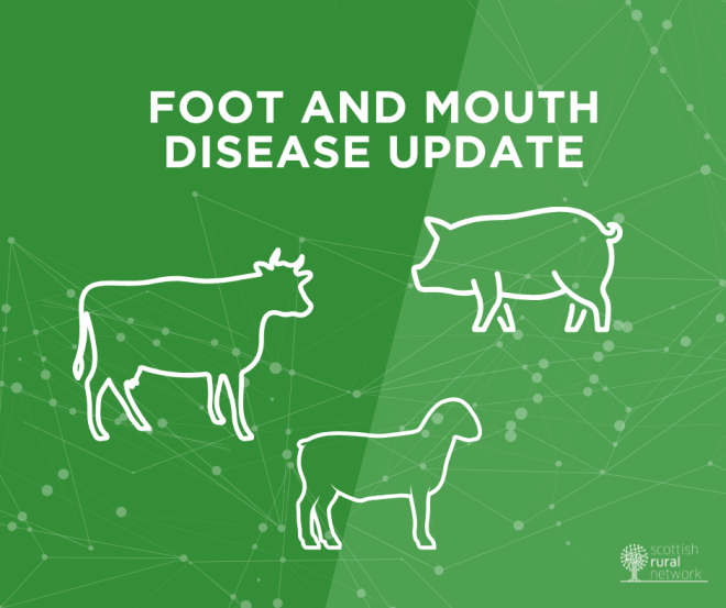 Foot and mouth disease