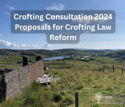 Crofting consultation 2024 - Image of Croft - Isle of Lewis - SRN photo