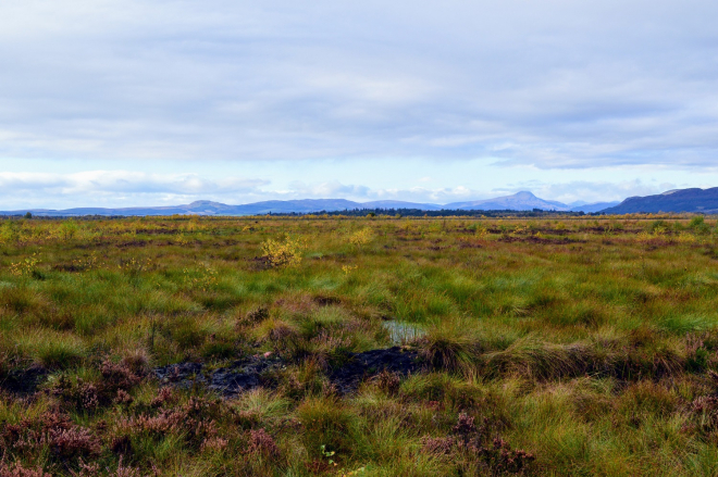 Flanders Moss Peatland Reserve