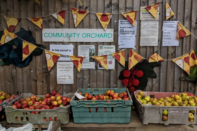 Image of Community produce - Apples - Dunkeld-  Taken by Alan Robertson 