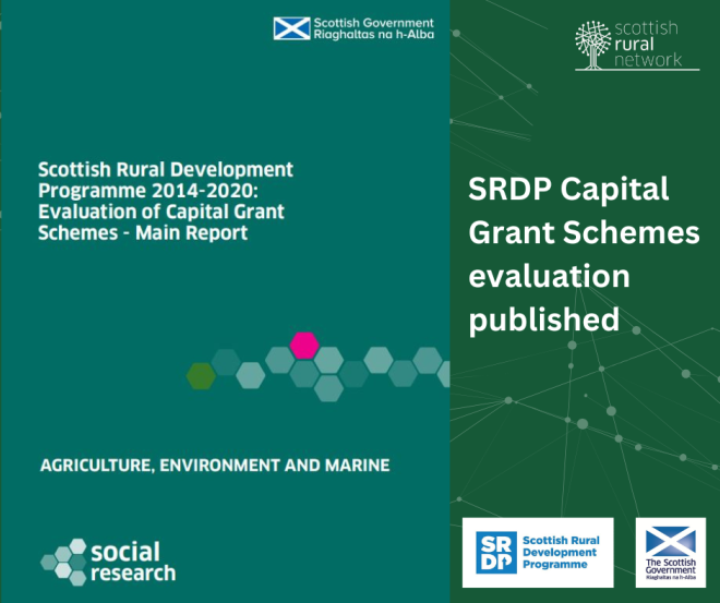 Cover of Capital Grant Schemes evaluation