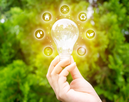 Concept save energy efficiency. Hand holding light bulb with icon on blurred tree background