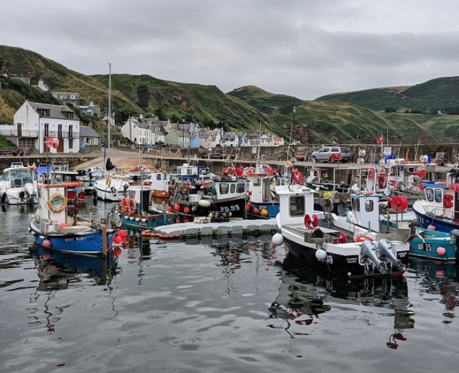 Fishing Boats