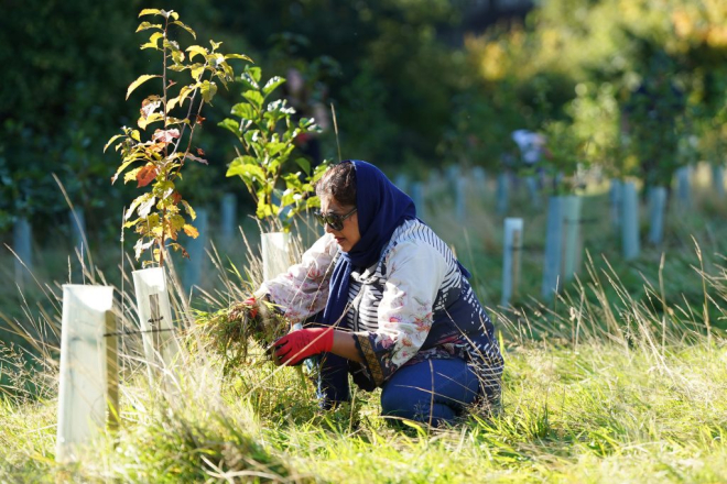 Bridging Scotland’s Forestry Skills Gap with our new Skills Programme