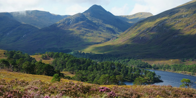 Glen Affric  - Credit_ Tom Gilpin.