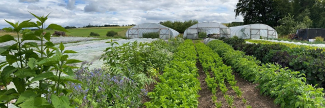 local food production.  Photo  credit: Highland Good Food Partnership